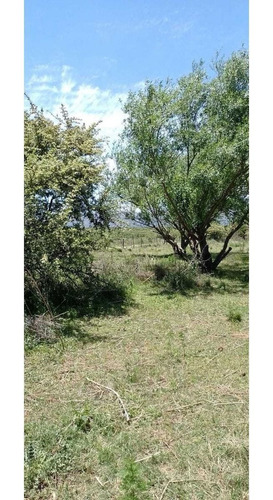 Imagen 10 de 11 de Terreno En La Falda