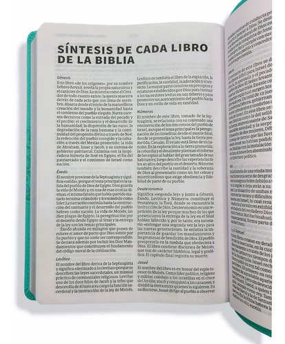 Imagen 9 de 9 de Biblia Nueva Version Internacional Nvi Imit. Azul Menta