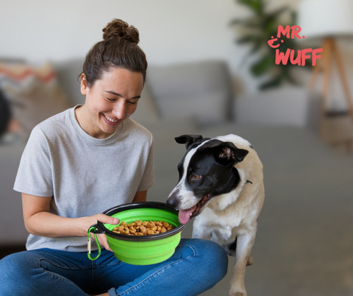 Plato Comedero Perro Plegable Interactivo Grande Mr Wuff Color Verde
