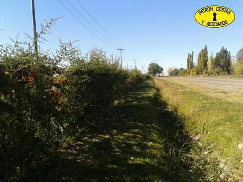 1882sa-lote De 5.000 M2 En San Rafael Mendoza