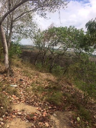 Imagem 9 de 18 de Ótimo Sítio 14 Hec, Não Tem Benfeitoria, Estrada De Aldeia Km 33 Em Paudalho Aceito Carro - St00007