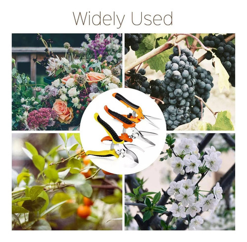 3 Piezas Tijeras De Podar Jardin Podadoras Acero Inoxidable