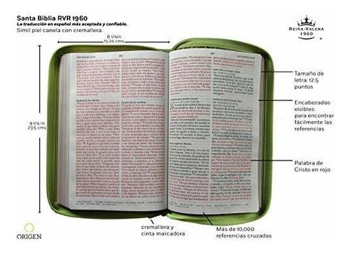Biblia Reina Valera 1960 Letra Grande Verde Con Cierre, De Reina Valera. Editorial Origen, Tapa Blanda En Español