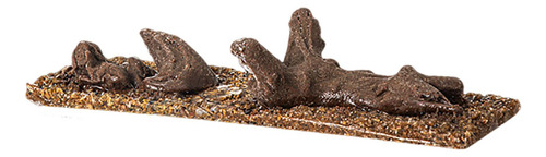 Roca De Decoración De Peces, Accesorios De Desierto