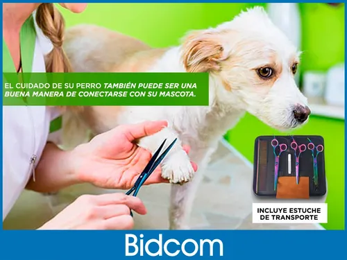 Peladora Caninca Gadnic + 3 Tijeras + Kit De Limpieza