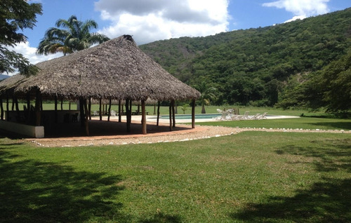 Imagen 3 de 13 de Vendo Finca 2.680.000 M2 El Consejo