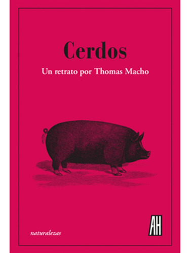 Cerdos - Un Retrato De Thomas Macho - Adriana Hidalgo