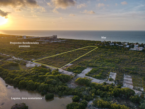 Lotes En Telchac A 200 Metros De La Playa