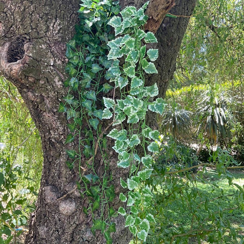 Imagen 3 de 10 de Planta Colgante Artificial Jardin Vertical Hiedra Pack X2