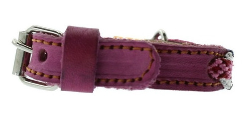 Collar Para Perro 6 Piezas 20cm 40cm 45cm 60cm 65cm