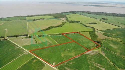 Imagen 4 de 13 de Martin Chico, Colonia - Campo Agricola Con Vista Al Rio De La Plata