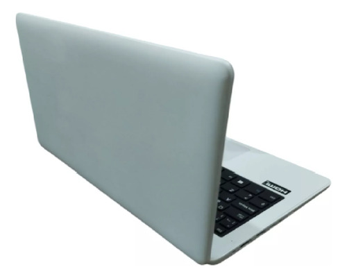 Notebook Netbook 11.6 Intel Celeron N4020 4gb Ssd 256gb M.2 Blanco