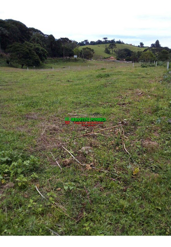 Imagem 4 de 8 de Chácara Maria Da Fé Em Minas Gerais - 2257