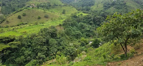 Venta De Lote En Santa Bárbara Vereda Pitayó Lote No. 2a