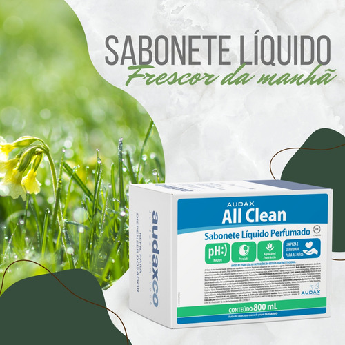 Sabonete Liquido Refil 800ml All Clean Audax Frescor Manhã