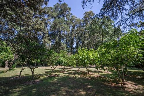 Quinta Venta En Benavidez Con Pileta