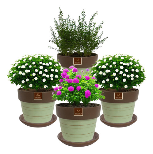 Set De 4 Maceta Greta 16cm Menta Y Sus Platos