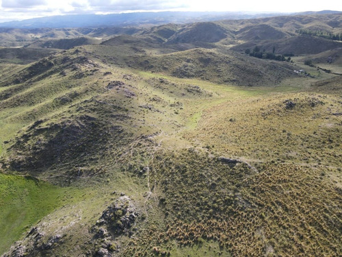 Imagen 11 de 16 de Terreno 1 Hectárea Paso Del Rey San Luis Argentina ,últimas Unidades !!