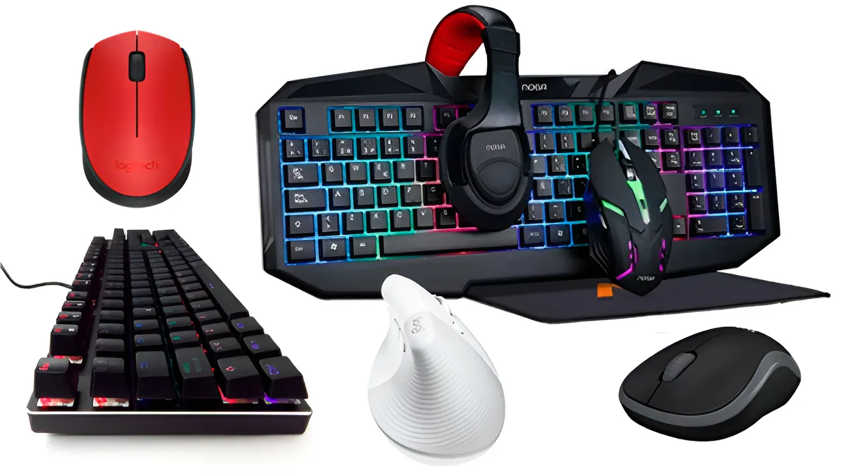 Mouses y Teclados