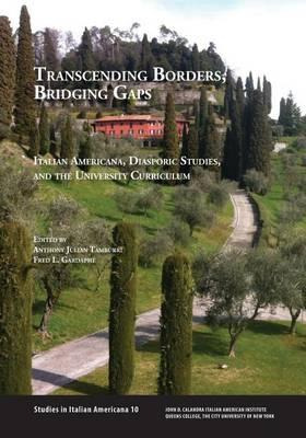 Libro Transcending Borders, Bridging Gaps - Anthony Tambu...