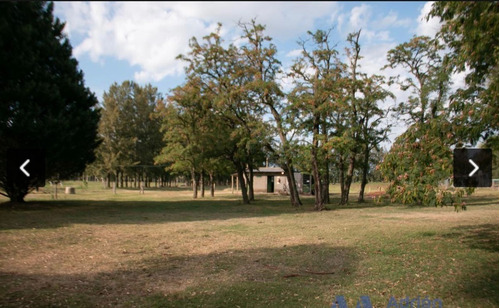 Imagen 19 de 23 de Hermoso Campo De 10 Ha En Cardales - Exaltacion De La Cruz