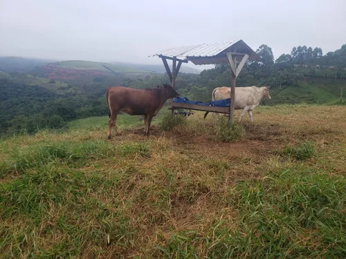 Sitio Em Caldas M G