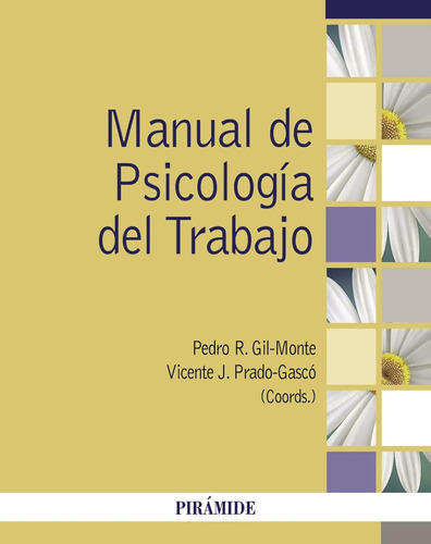 Manual De Psicología Del Trabajo / Pedro R. Gil-monte