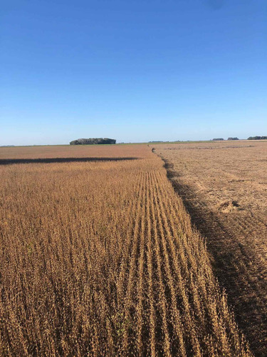 Imagen 10 de 10 de Campo 93 Hectareas