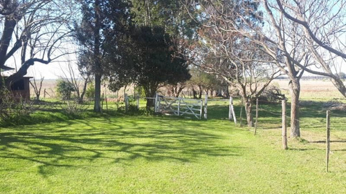 Imagen 13 de 30 de Venta - Campo En Cardales - Bayugar Negocios Inmobiliarios