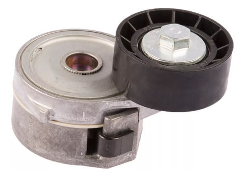 Autotensor Poly V Skf Para Citroen Berlingo 1.9 D 98/05