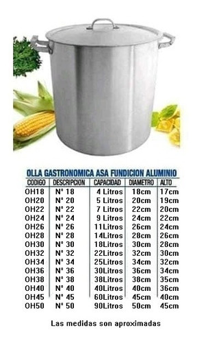 Olla Aluminio Gastronómico N 18 Reforzada Con Tapa, 4 L