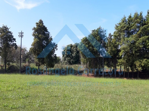 Imagem 6 de 30 de Chacara - Ch00014 - 69832043