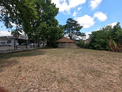 Lote El Talar Ruta 197 Zona Comercial