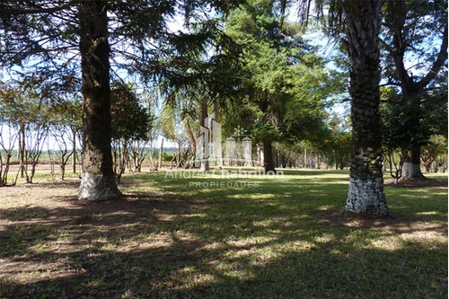 Imagen 17 de 18 de Forestación Eucaliptus En Concordia