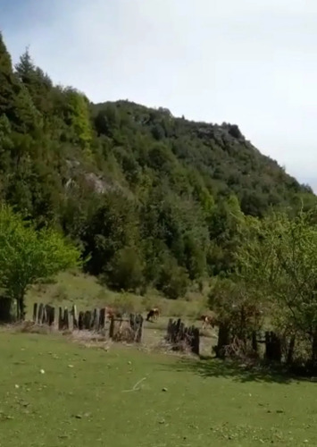 Campo Sector Huerquehue, Termas Rio Blanco