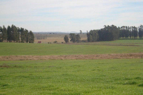 Campo En Venta En Garzón Rural