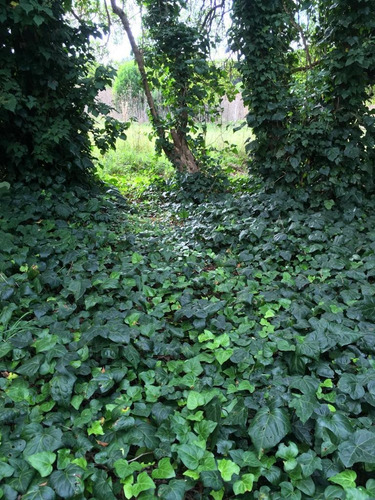 Imagen 4 de 5 de Terreno Venta Chapadmalal 1250 M2