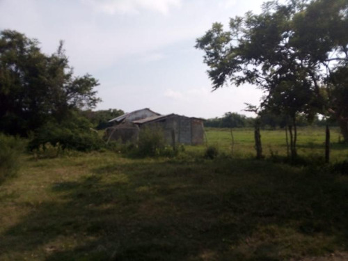 Venta Rancho Ganadero 100 Hectáreas Tamiahua Veracruz