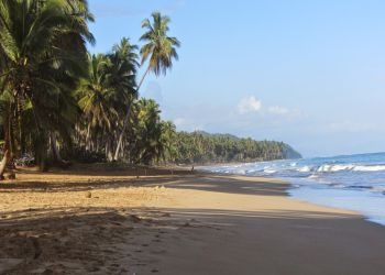 Terreno En Samana Con Playa Perfecto Para Turismo