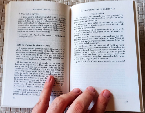 El Despertar De Las Misiones (federico A Bertuzzi) (Usado)