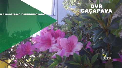 Imagem 16 de 18 de Galpão Para Alugar Em Caçapava/sp - Ga1003