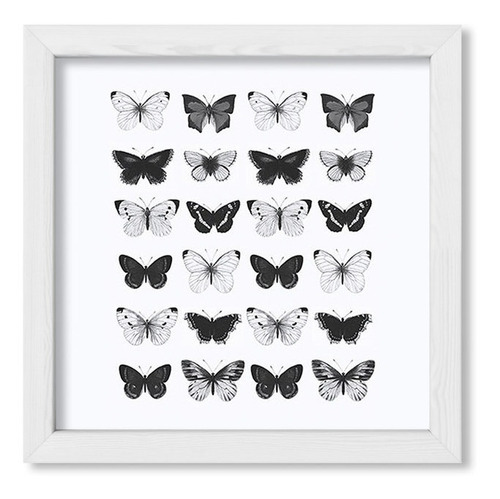 Cuadros Para La Casa 20x20 Chato Blanco Mariposas