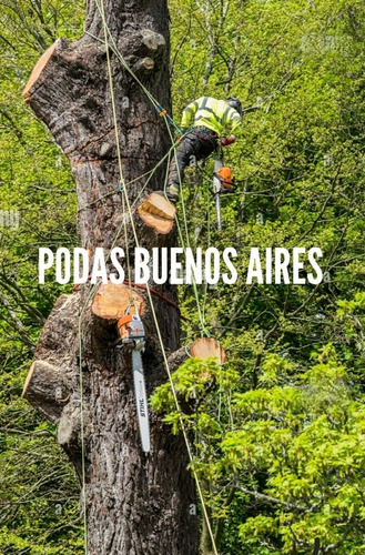 Imagen 3 de 5 de Poda De Arboles Servicio Poda Tala Extracción Y Desmonte