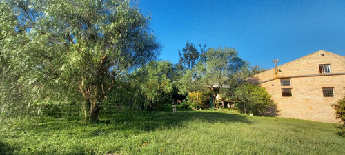 Imagen 8 de 30 de Campo 7 Hectreas Plano Con Chalet, San Esteban