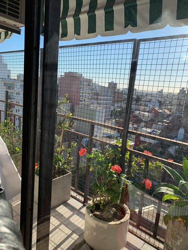 Departamento - Wilde