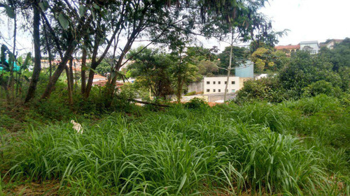 Imagem 5 de 7 de Terreno, Centro, Santana De Parnaíba - R$ 1.5 Mi, Cod: 234812 - A234812