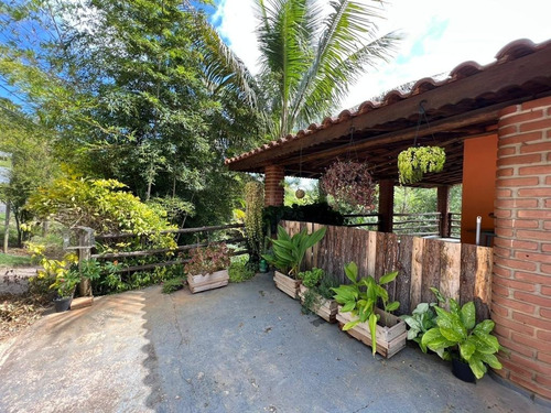 Imagem 12 de 30 de Chácara 2048m2, Casa Sede, Loja, Depósito, Viveiro De Plantas Com Estufa, Acesso Asfaltado, Poço Caipira, Ótima Localização - Ch00256 - 70814196