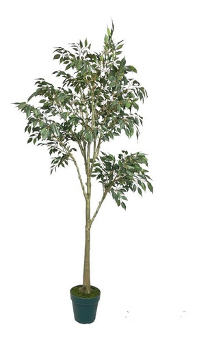 Árbol De Ficus Artificial 168cm
