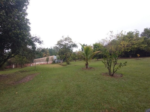 Imagem 11 de 30 de Chácara À Venda - Tupi - Piracicaba/sp - Ch0240