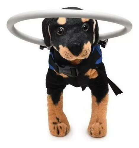 Para Anillo Anticolisión 2024 Para Perros Ciegos, Anillo De